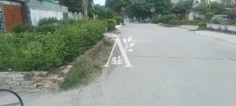 House for Rent in G-8/1 Islamabad in G-8, Islamabad photo 3